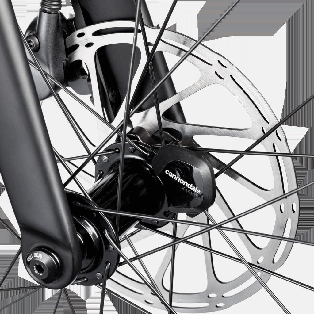 Synapse 2