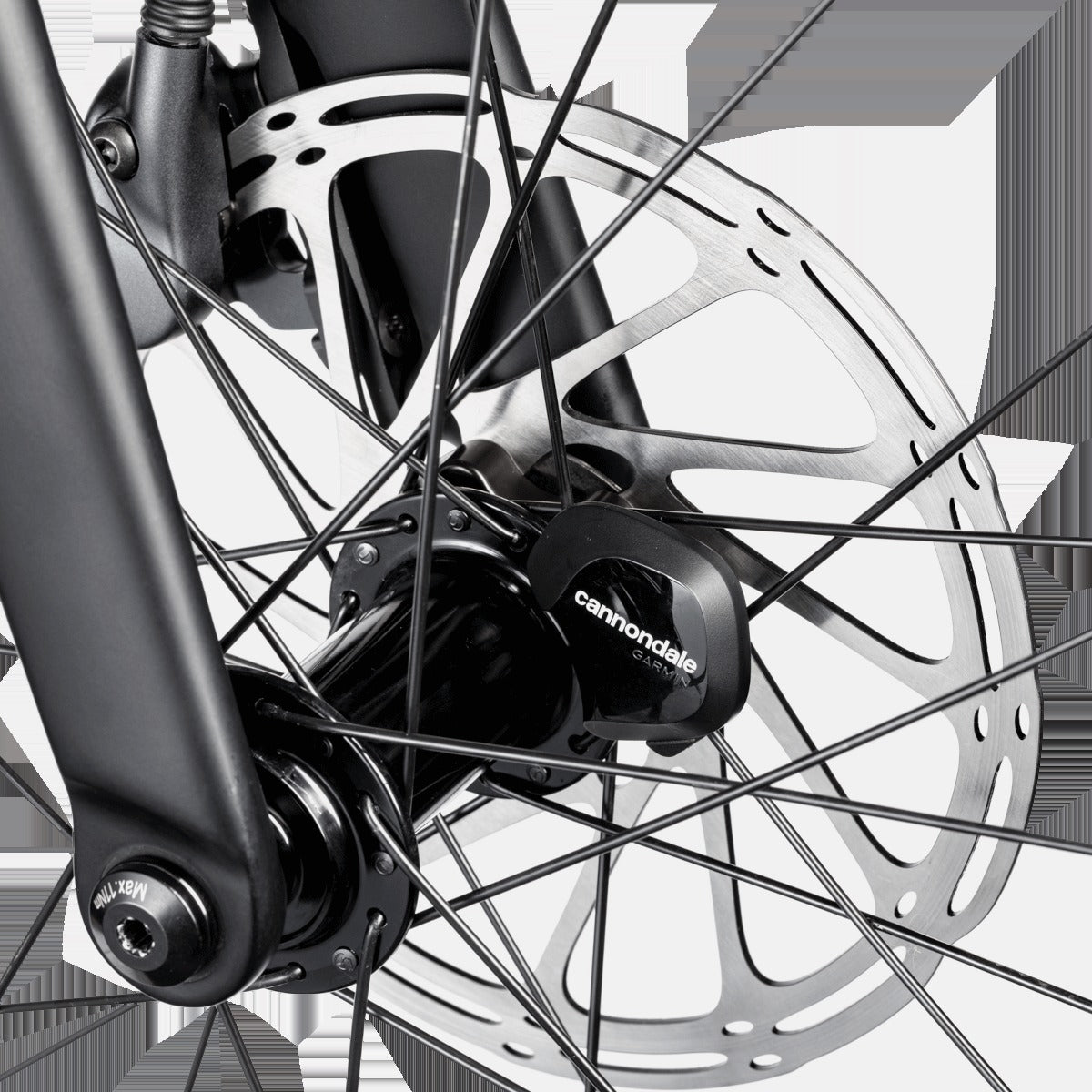 Synapse 2