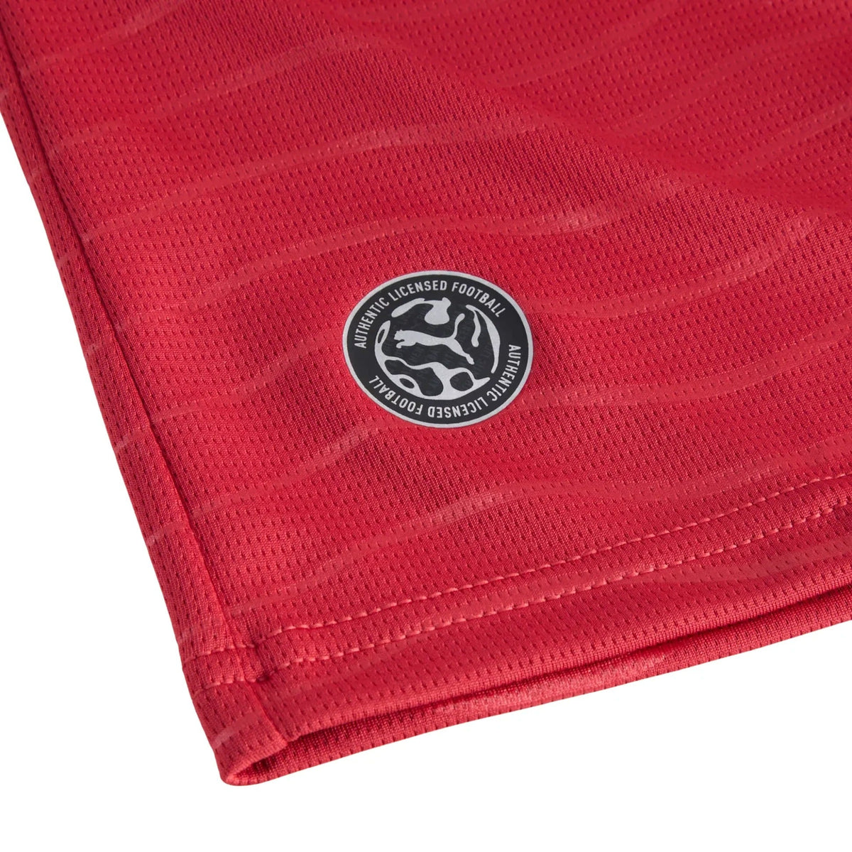 Portugal FPF Home Jersey Replica Player