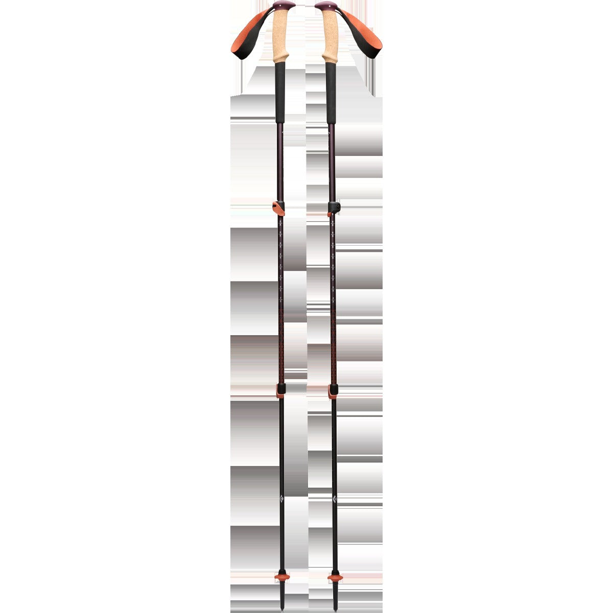 Trail Cork Trekking Poles