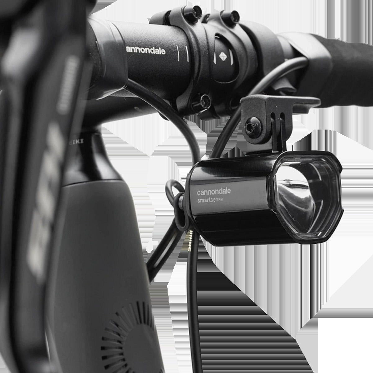 Synapse Carbon 2 LE