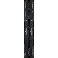 Elan Ripstick 96 Black Edition Demo Skis