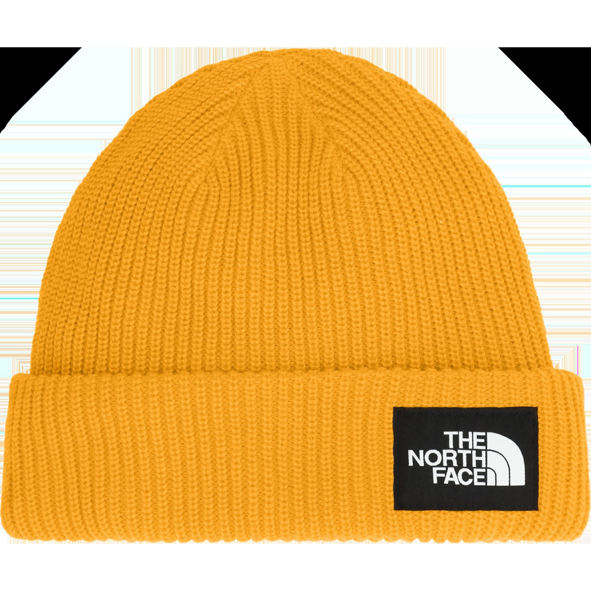 Salty Lined Beanie
