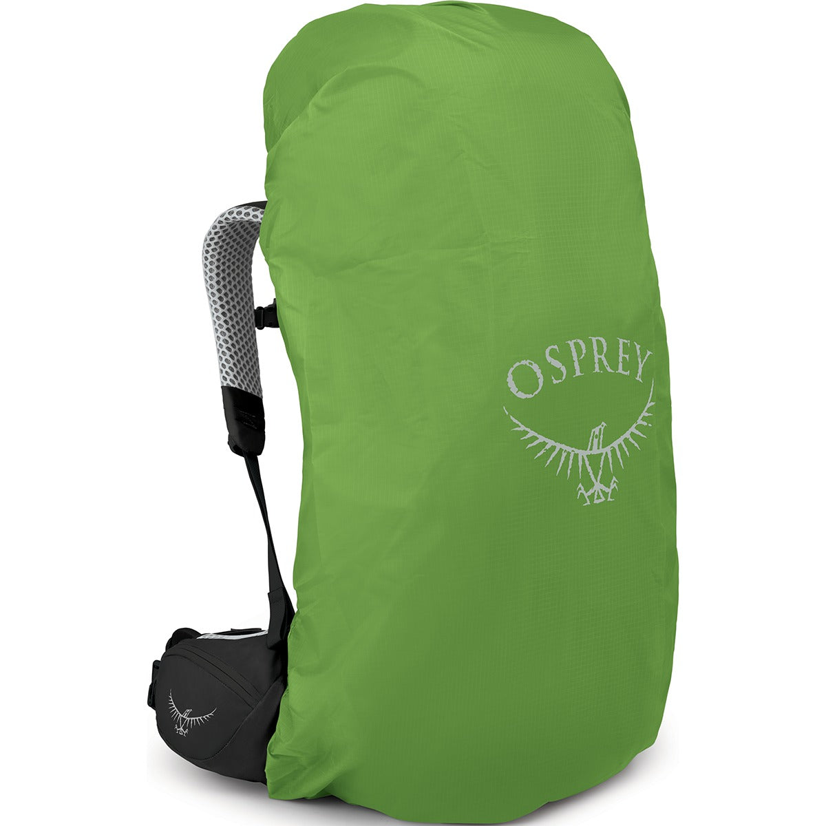 Atmos AG LT 50