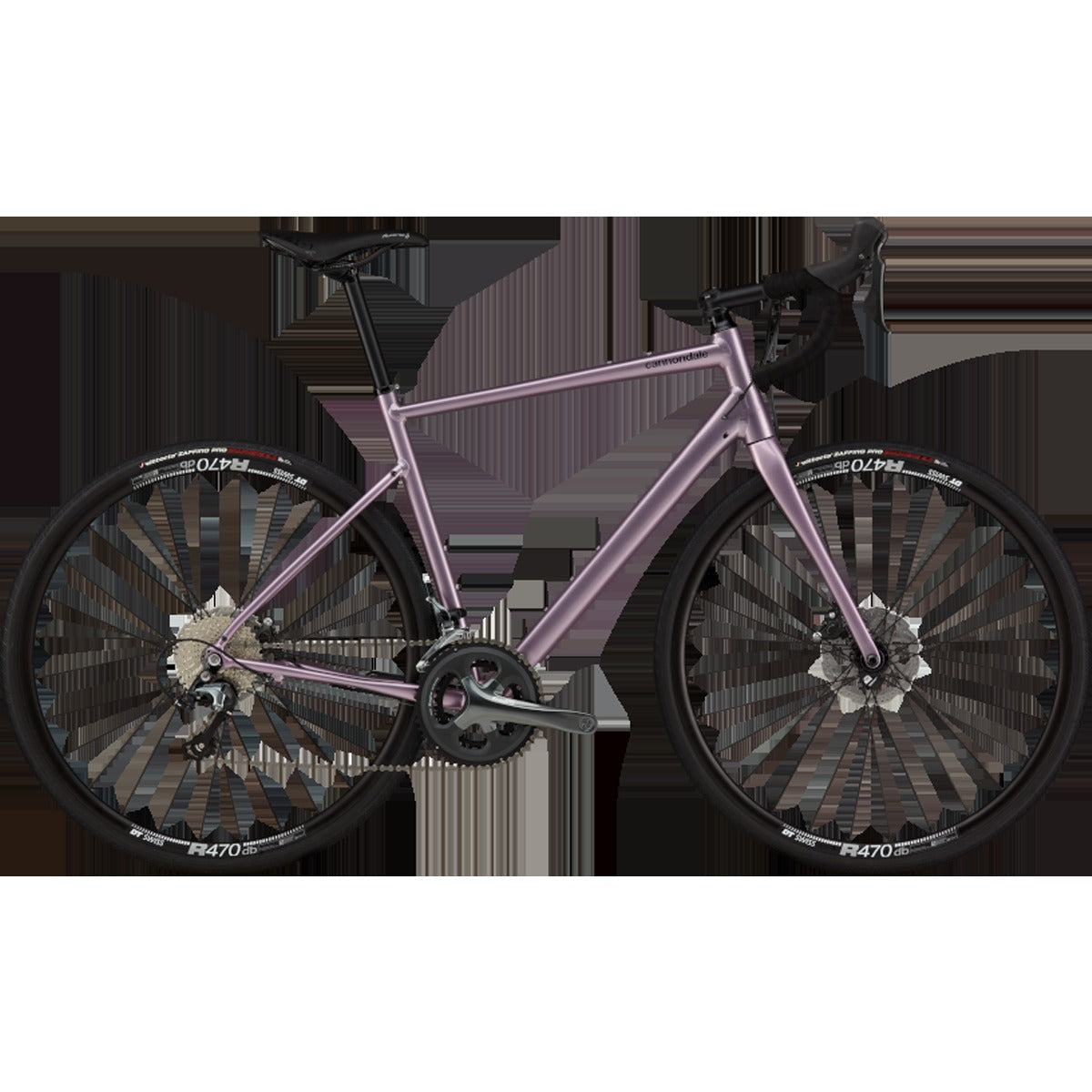 Synapse 2