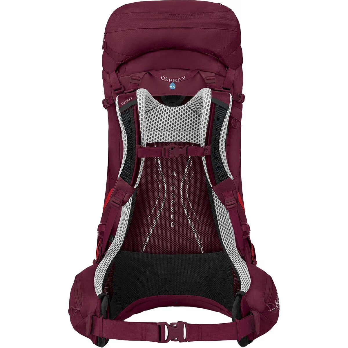 Women's Aura AG LT 50