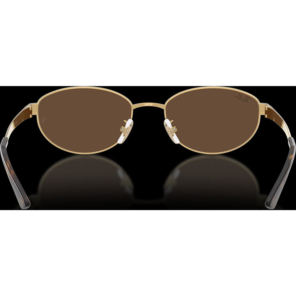 RB3774D - Arista Gold/Dark Brown