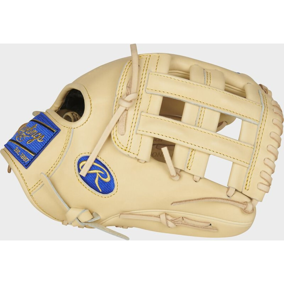 Heart of the Hide R2G Infield/Outfield - 12.25" Pro H-Web