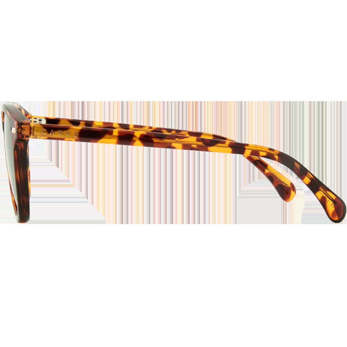 Oslo Polarized