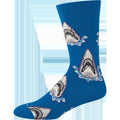 Shark Attack