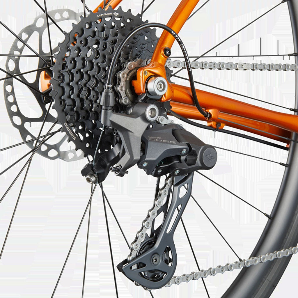 Synapse 2