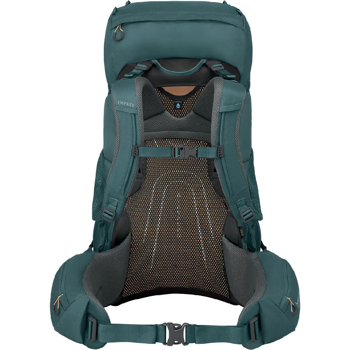 Women's Renn 65L