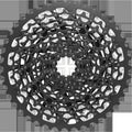 XG-1150 FULL PIN Cassette/11 SP/10-42t