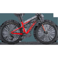 Fourstroke 01 TWO