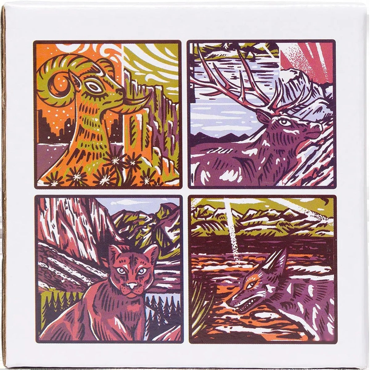 National Park Naturalist Coaster Set