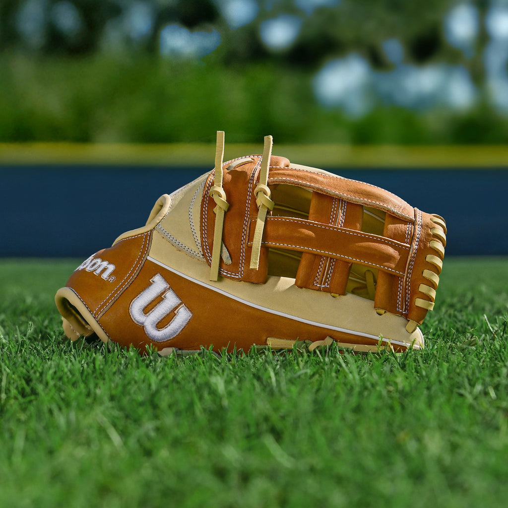 A1000 Outfield 1750 12.5" Dual Post Web