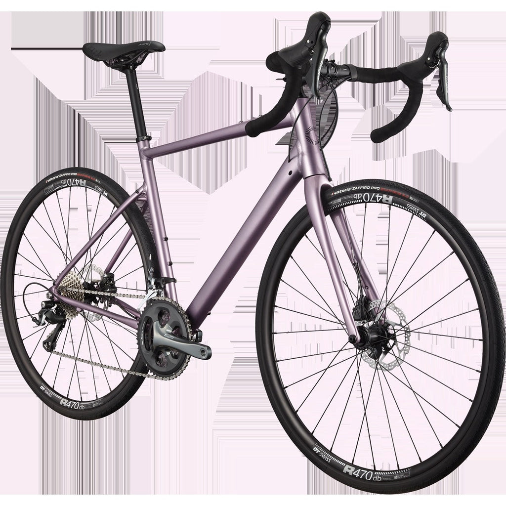 Synapse 2