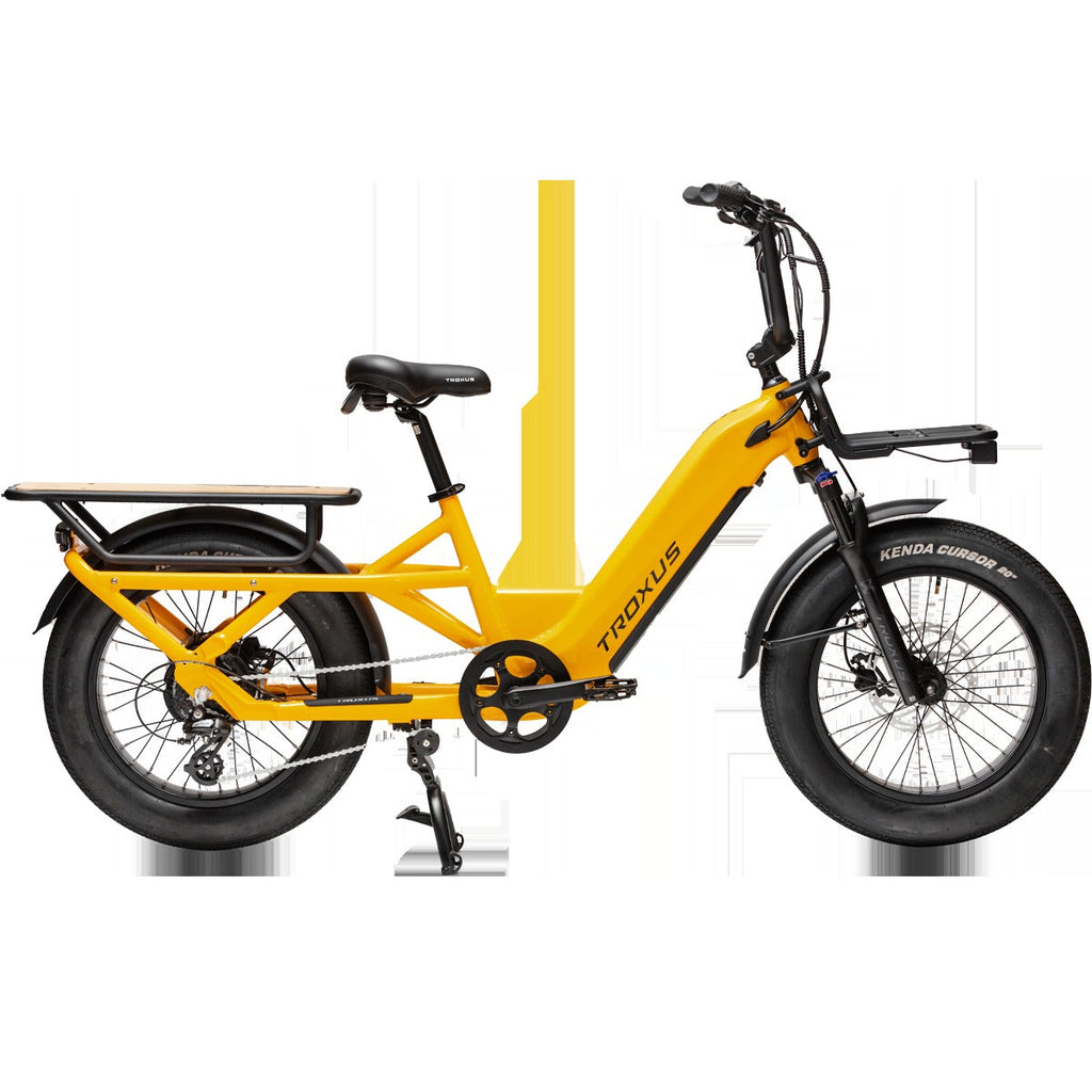 Troxus Lynx Cargo E-Bike