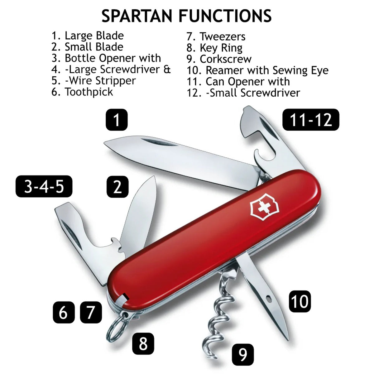 Spartan