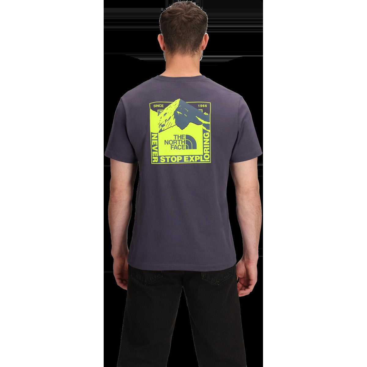 Men's Mountain Scape Regular Short Sleeve Tee