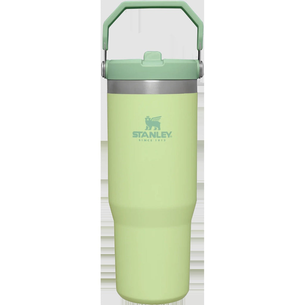 Iceflow Flip Straw 30 oz Tumbler