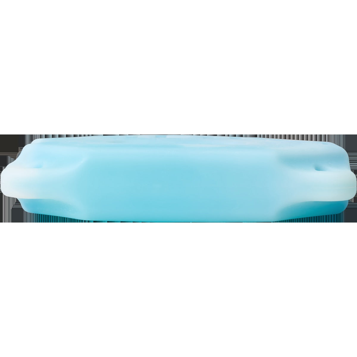 Ice Block 2 lb