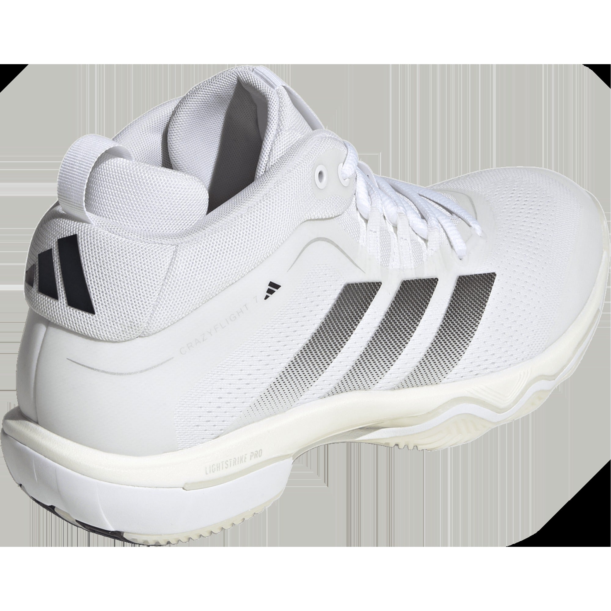 Men's Crazyflight 7 Mid