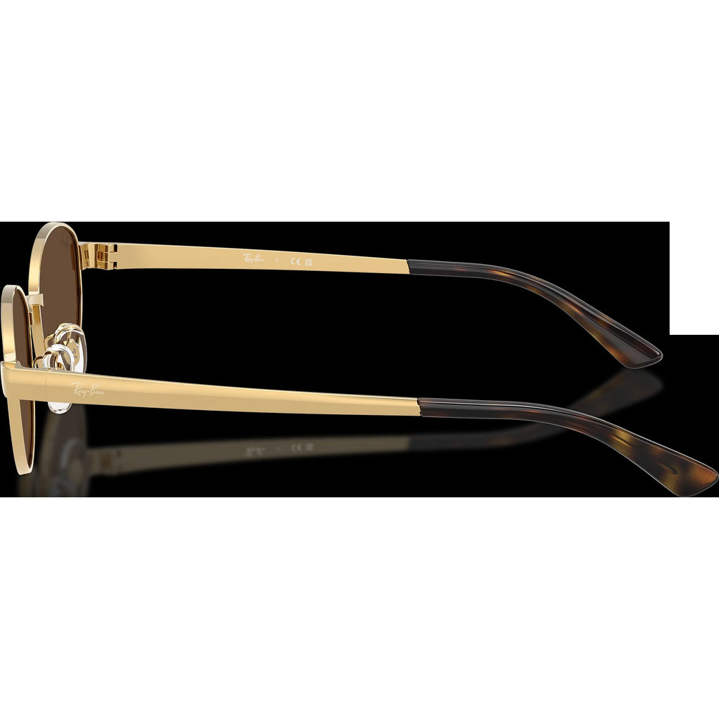 RB3774D - Arista Gold/Dark Brown