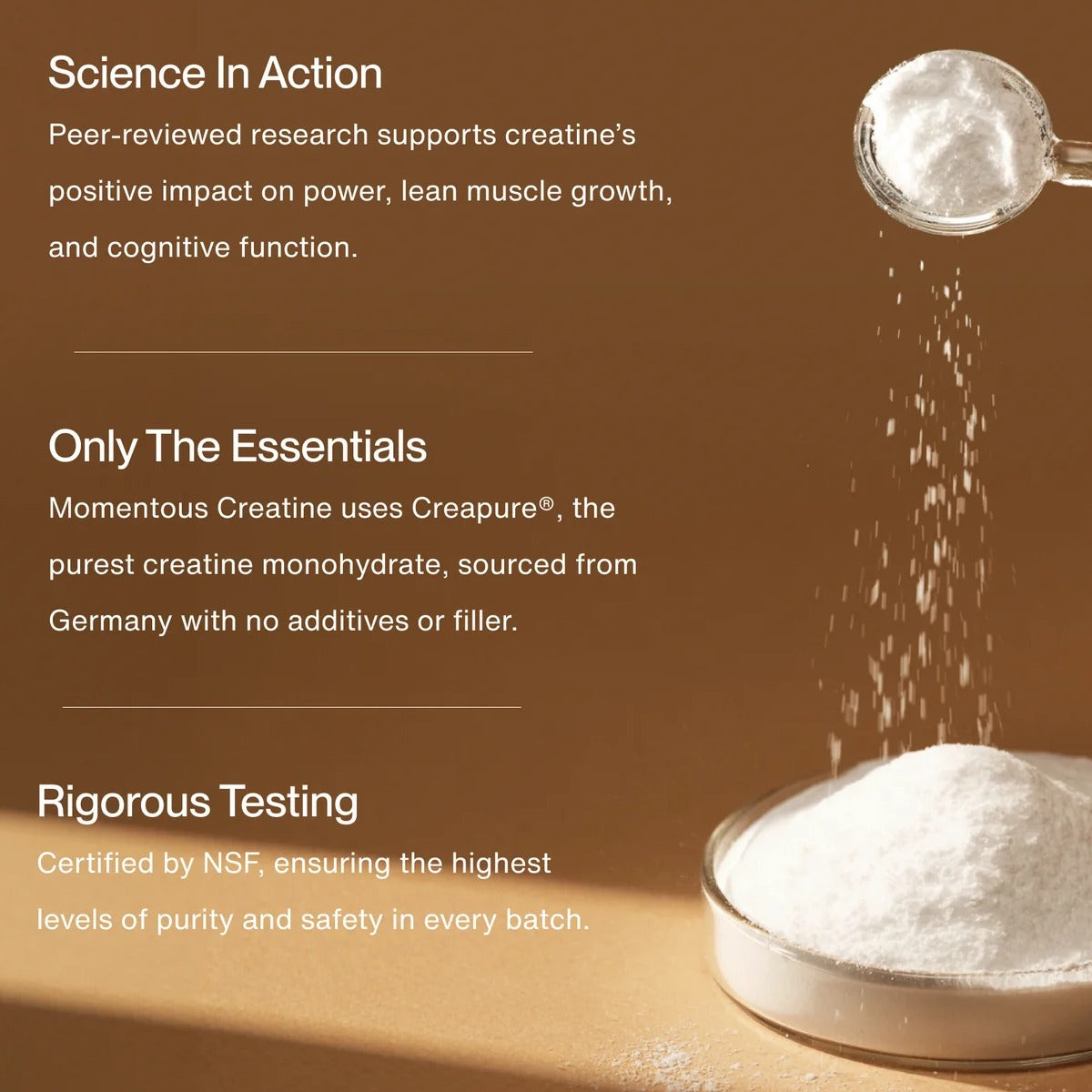 Creatine (Single Serving)