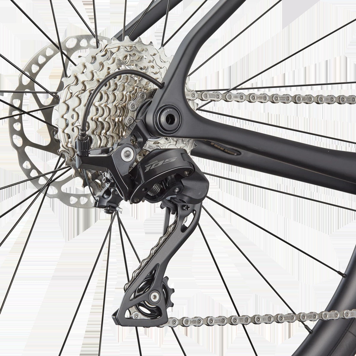 Synapse Carbon 5