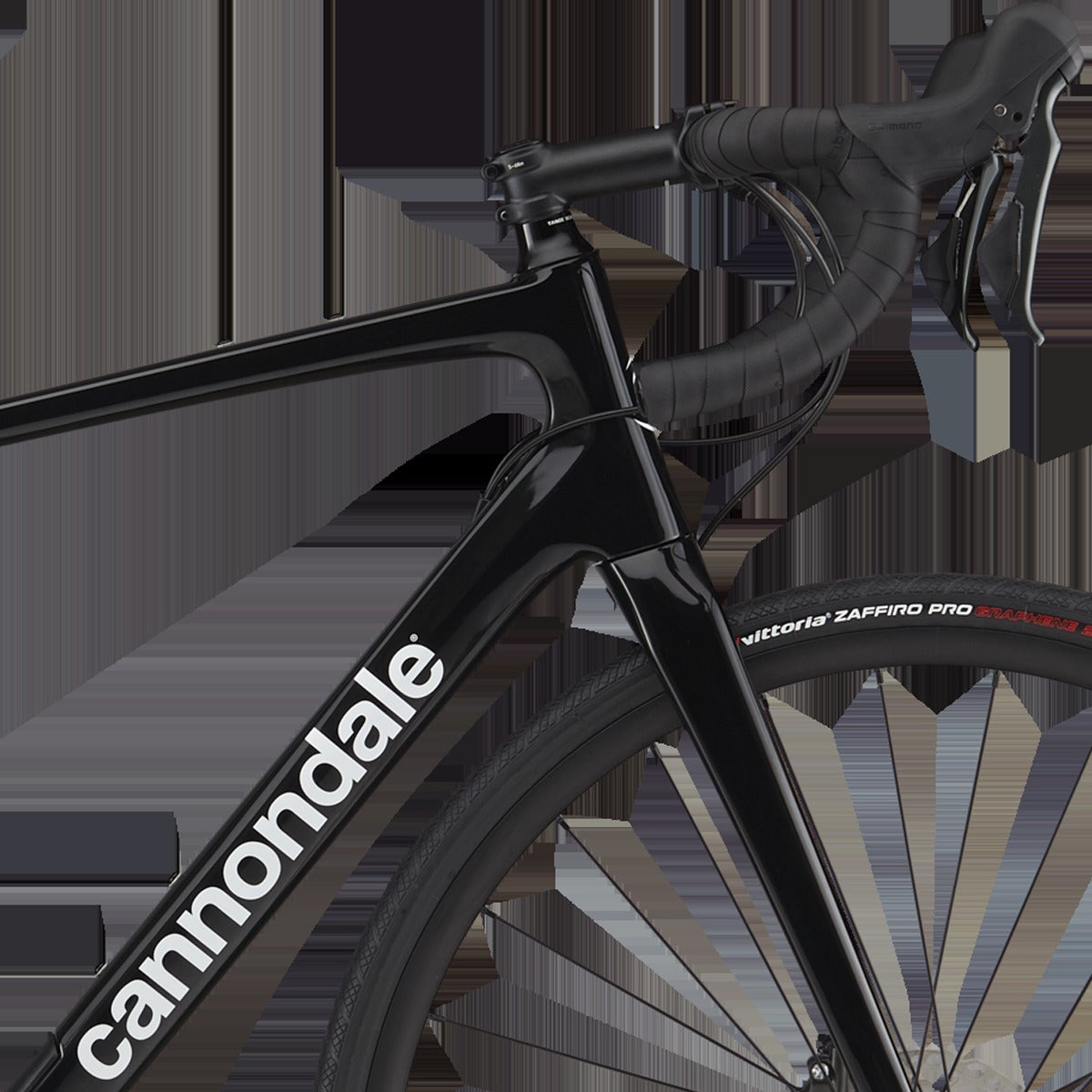 Synapse Carbon 4