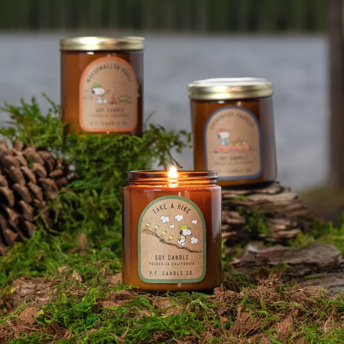 Peanut Take a Hike 7.2oz Candle