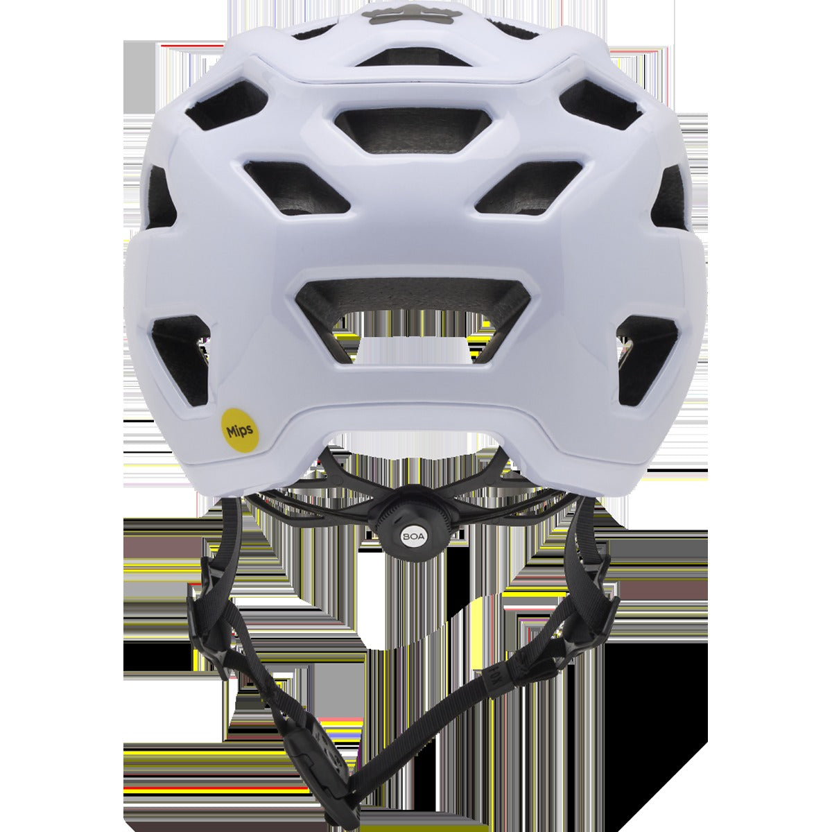 Crossframe Pro Solids