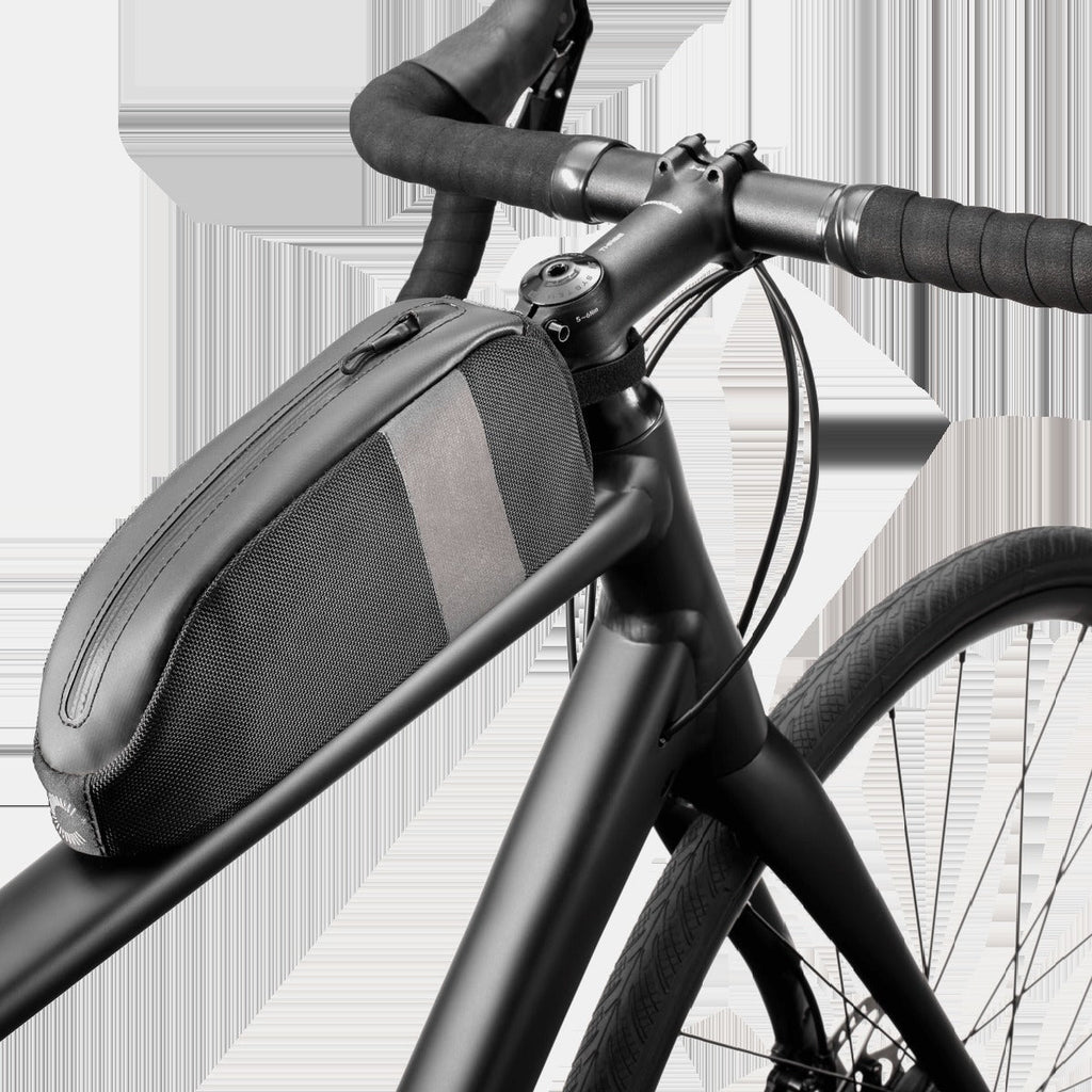 Synapse 2