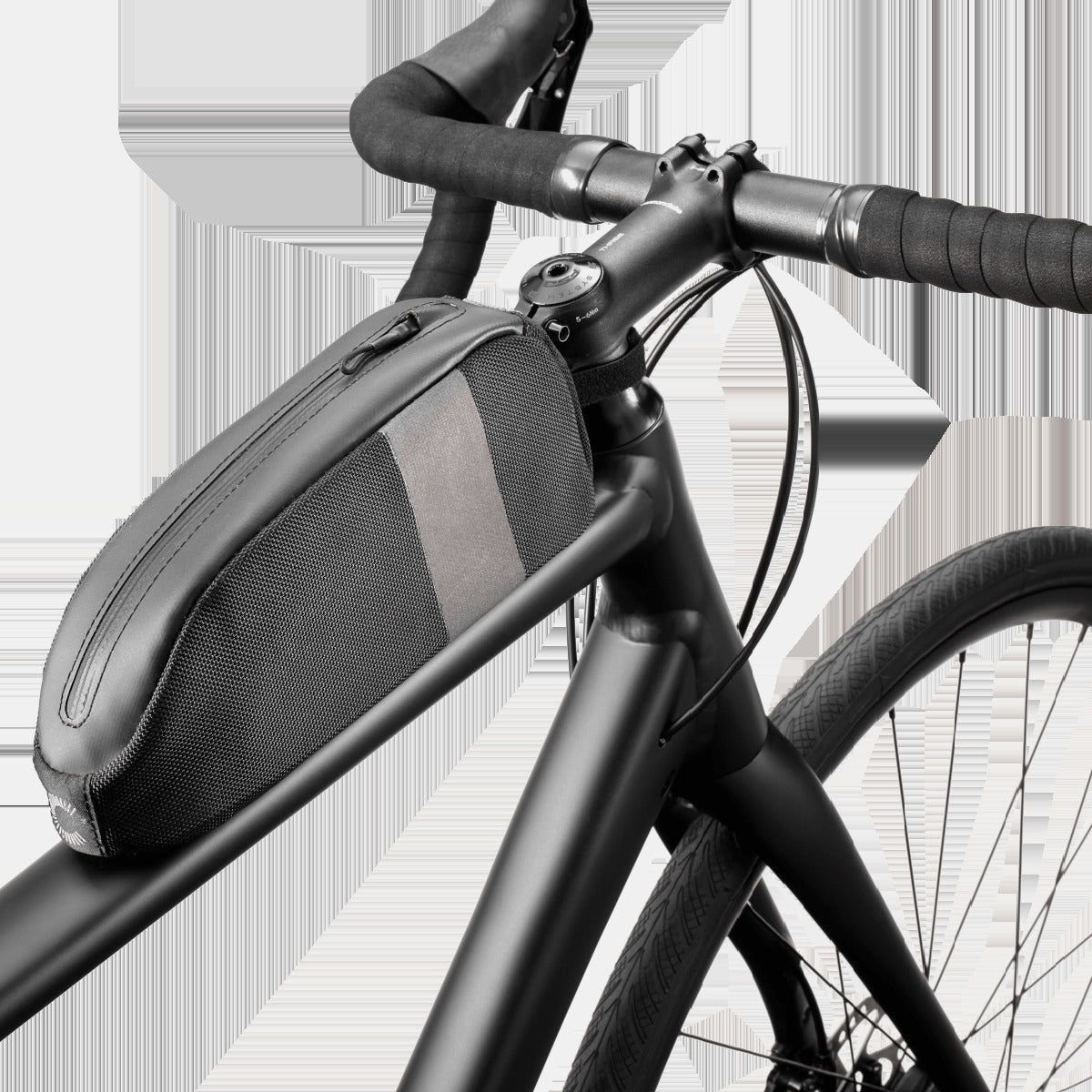 Synapse 2
