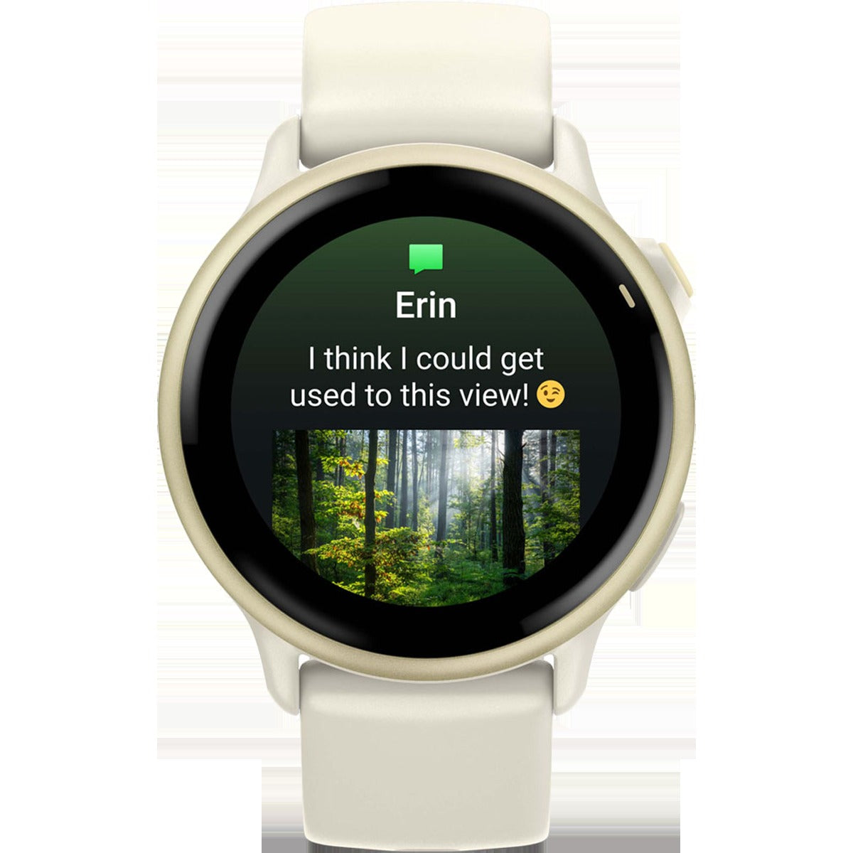 Vivoactive 6