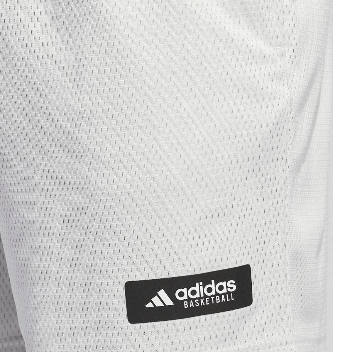 Men's Legend 11" Shorts