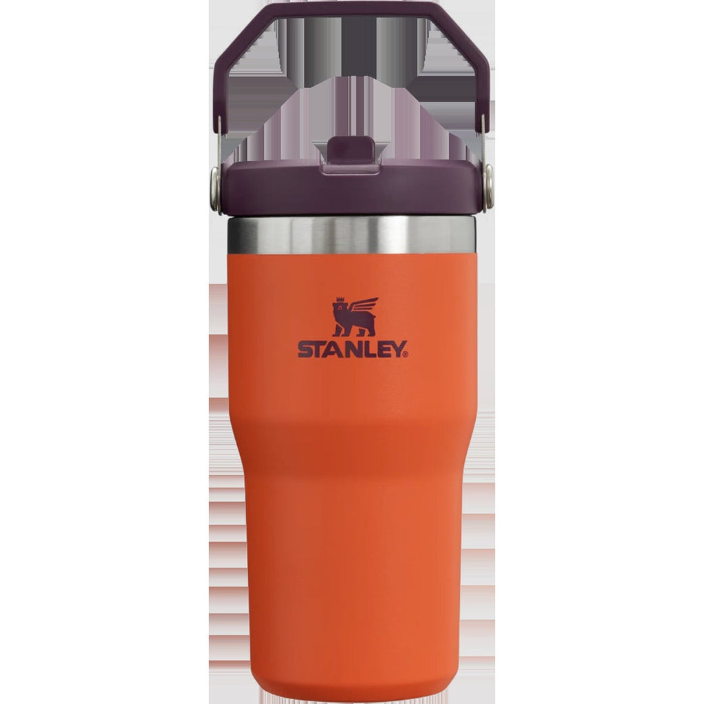 Iceflow Flip Straw 20 oz Tumbler
