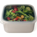 To-Go Square Container 30oz