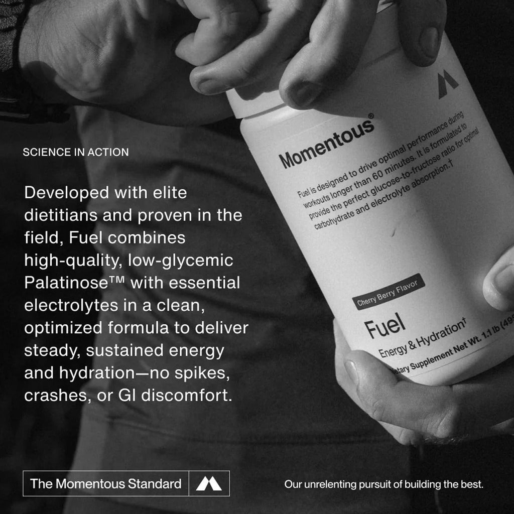 Fuel (15 Servings)