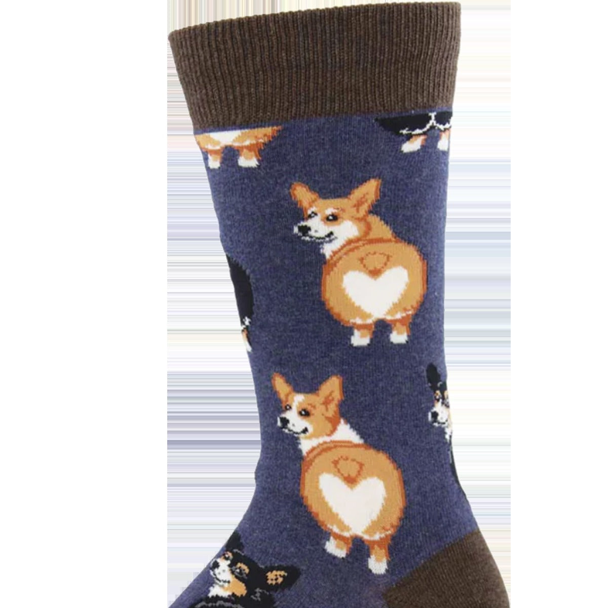 Corgi Butt
