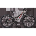 Youth X.24 Disc