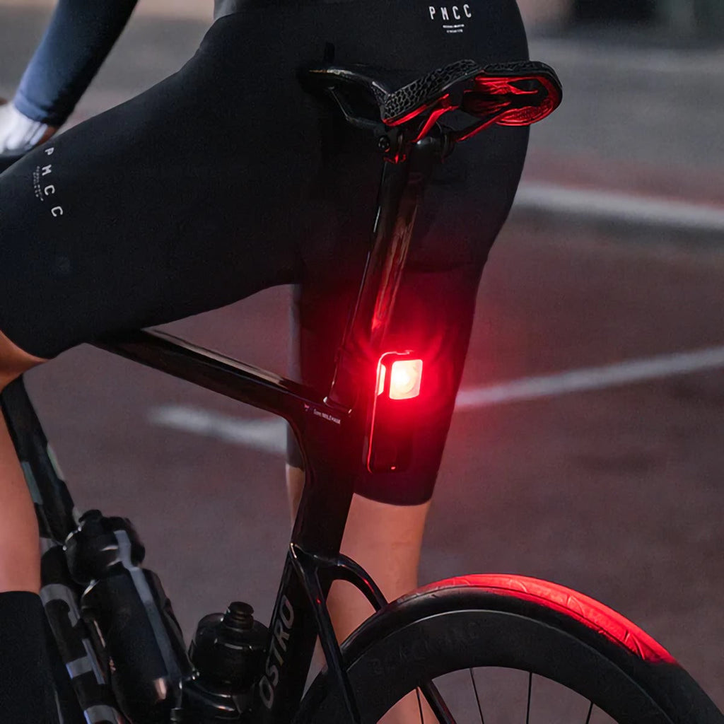 NT201 Tail Light