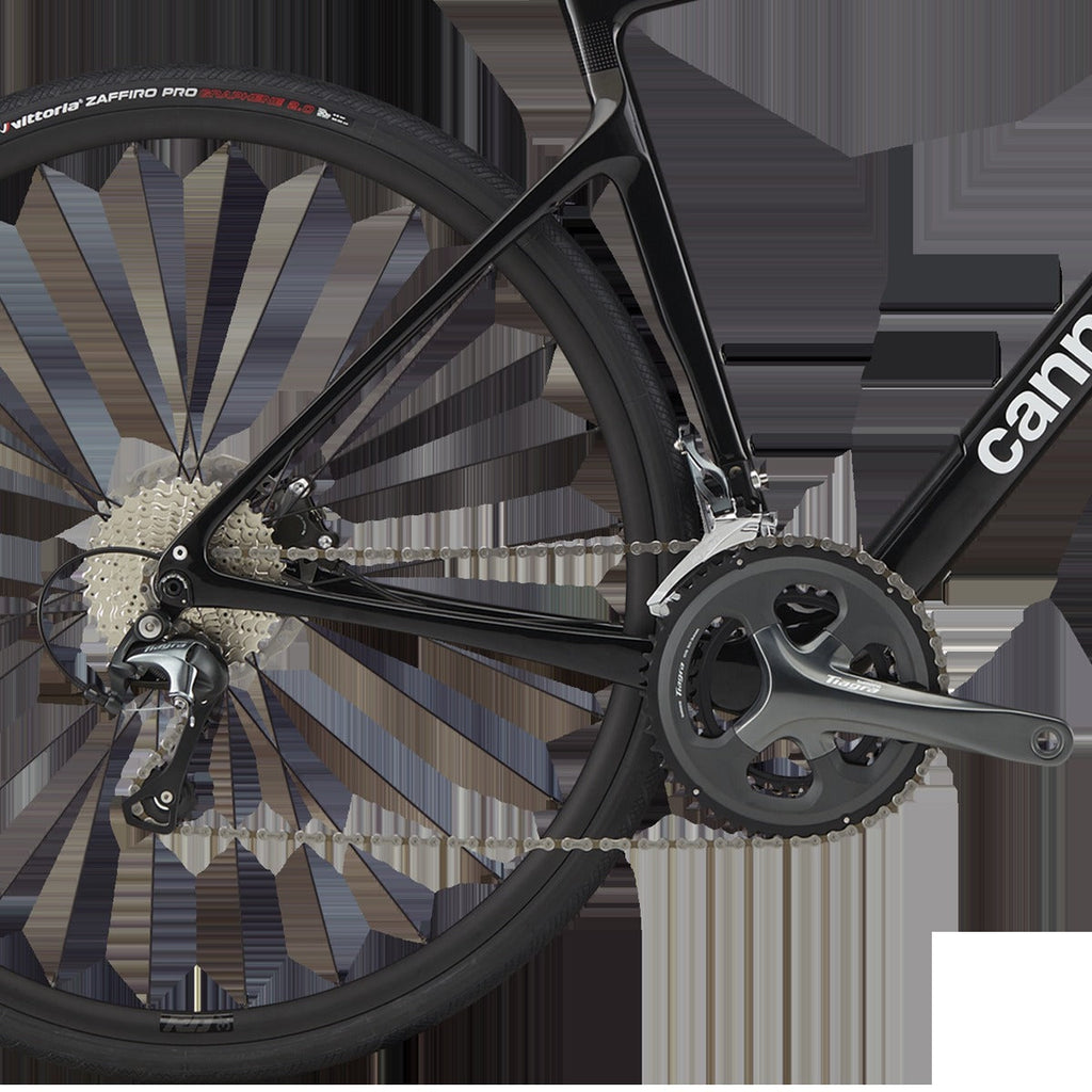 Synapse Carbon 4