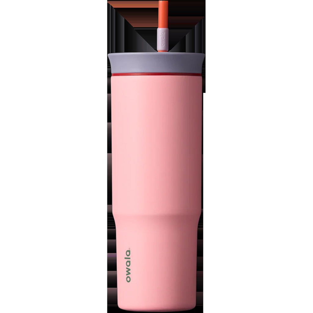 Tumbler 24 oz Stainless Steel