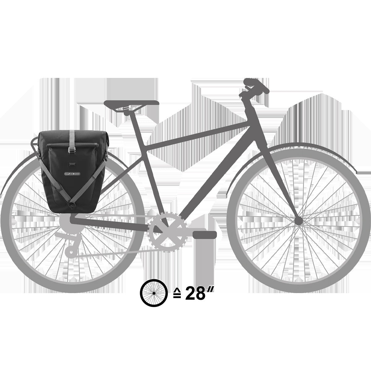 Back-Roller Plus