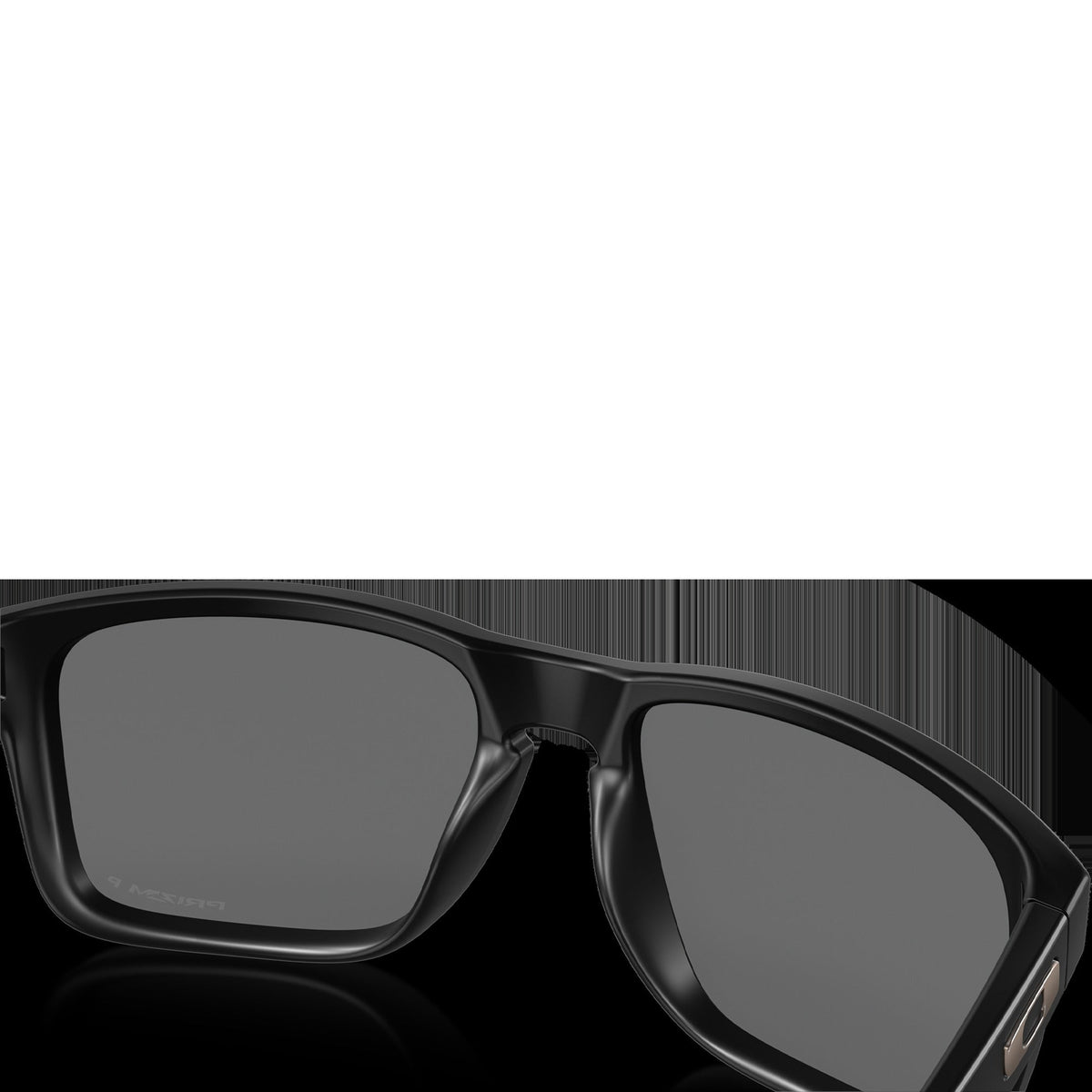 Holbrook XL - Matte Black/Prizm Black Polarized