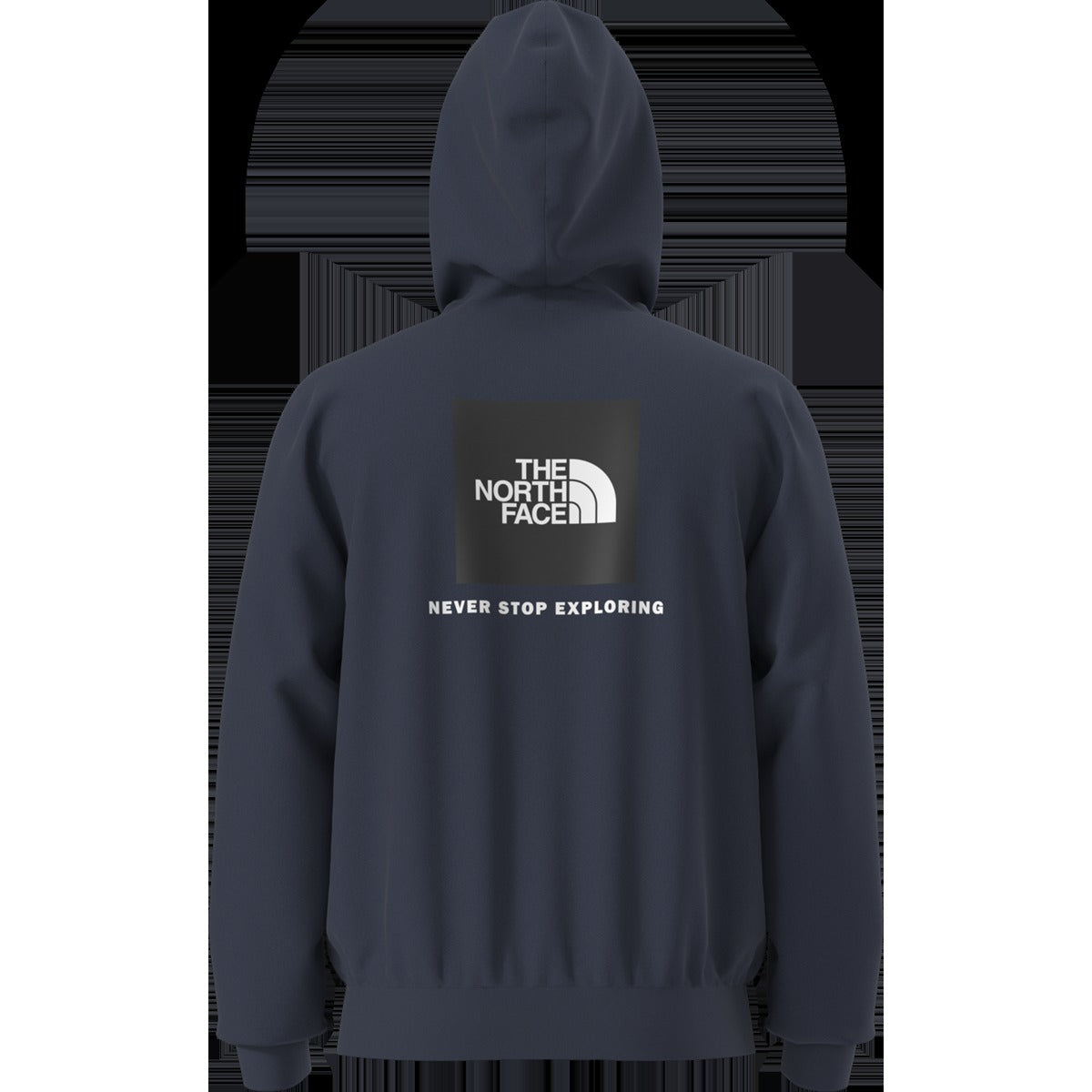 Men's Evolution Box NSE Regular Hoodie