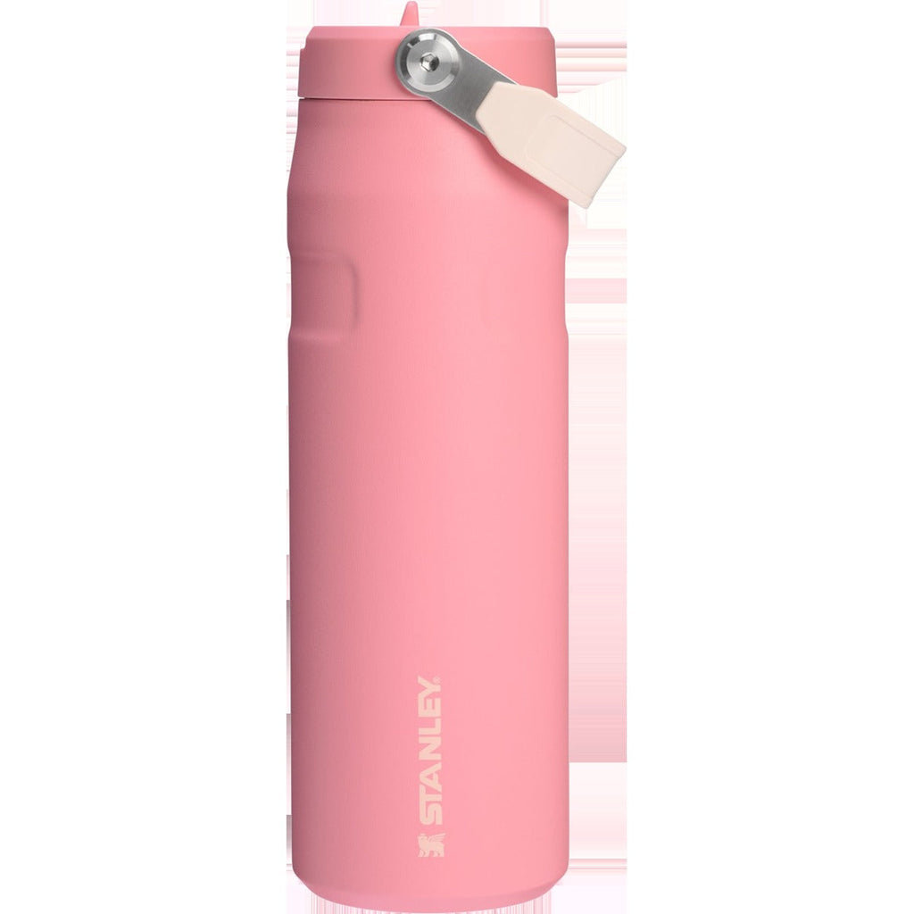IceFlow Aerolight Bottle Flip Straw 2.0 24oz
