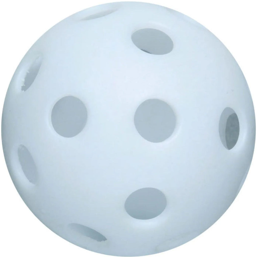 Poly Molded Training Ball
